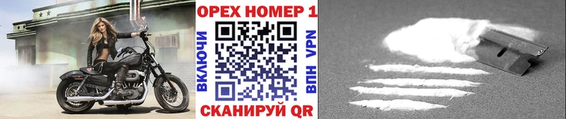 Где продают наркотики Аша КОКАИН  СОЛЬ  Каннабис  Гашиш 