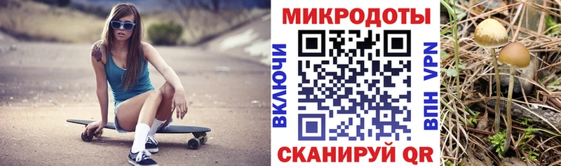 Псилоцибиновые грибы мицелий  Аша 